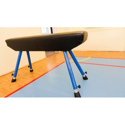 Конь гимнастический