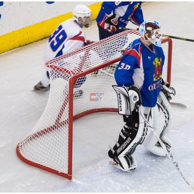 Ворота хоккейные Профи