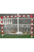 Ворота мини-футбольные или гандбольные не разборные 2500х1700 c полосами
